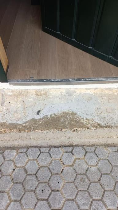 Loft Acogedor Leilighet Sevilla Eksteriør bilde